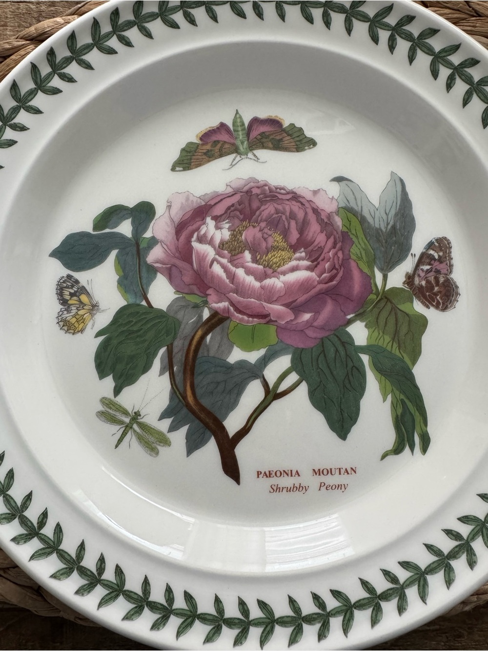 Vintage Portmeirion Botanic Garden Shrubby Peony 10.5" Dinner Plate - Picture 2 of 5